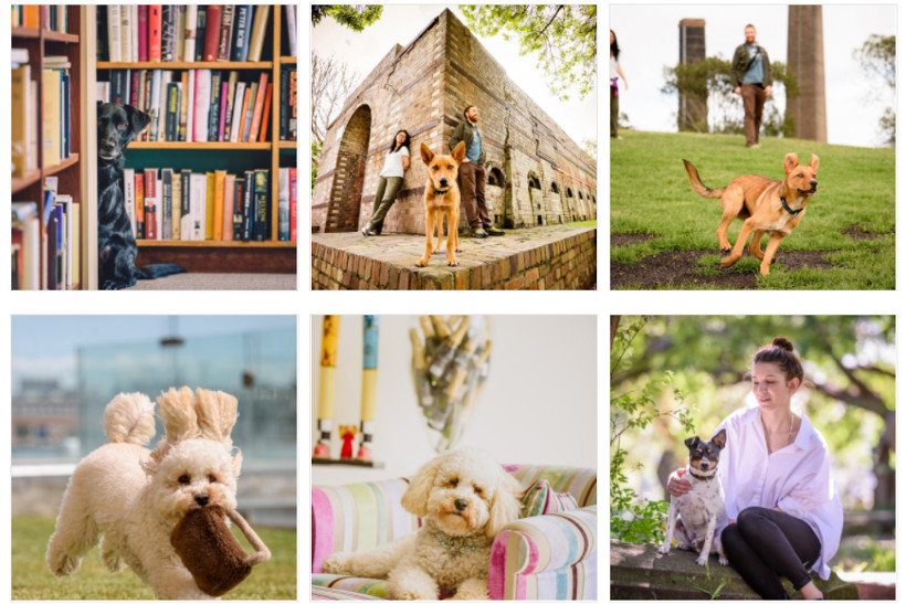 belle property balmain blog where to find family and pet photographers in balmain image 3